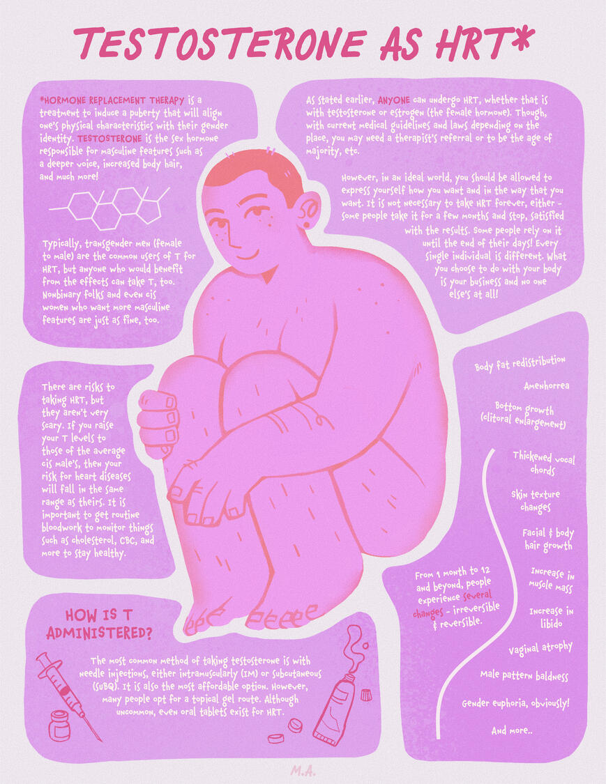 Hormone Therapy Infographic Hormone Therapy Infographic